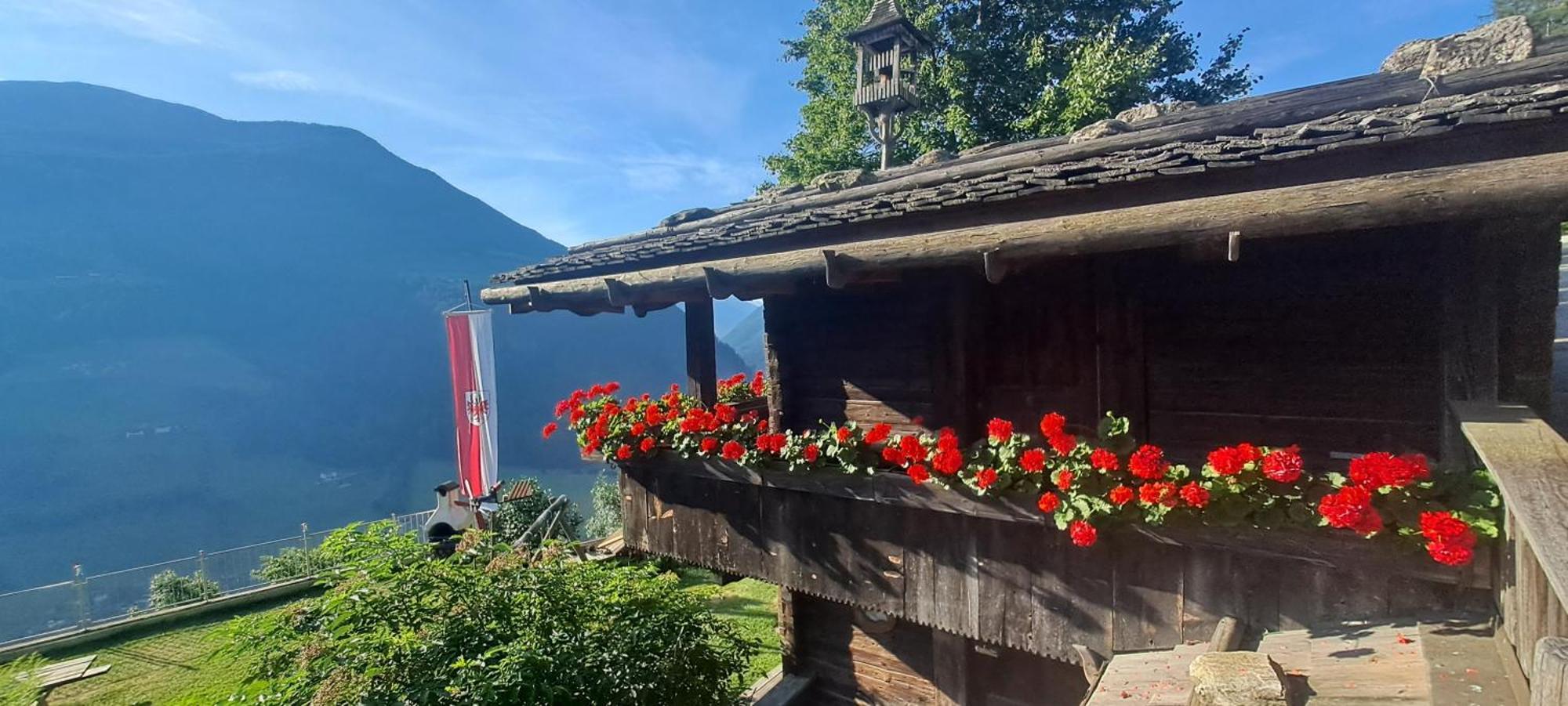 Grossstahlhof Mountain & Panorama View Apartment Ahrntal Exterior photo